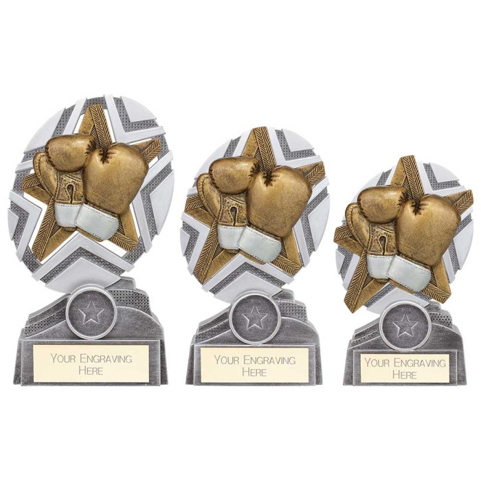 THE STARS BOXING RESIN TROPHY - 3 SIZES - 13CM - 17CM